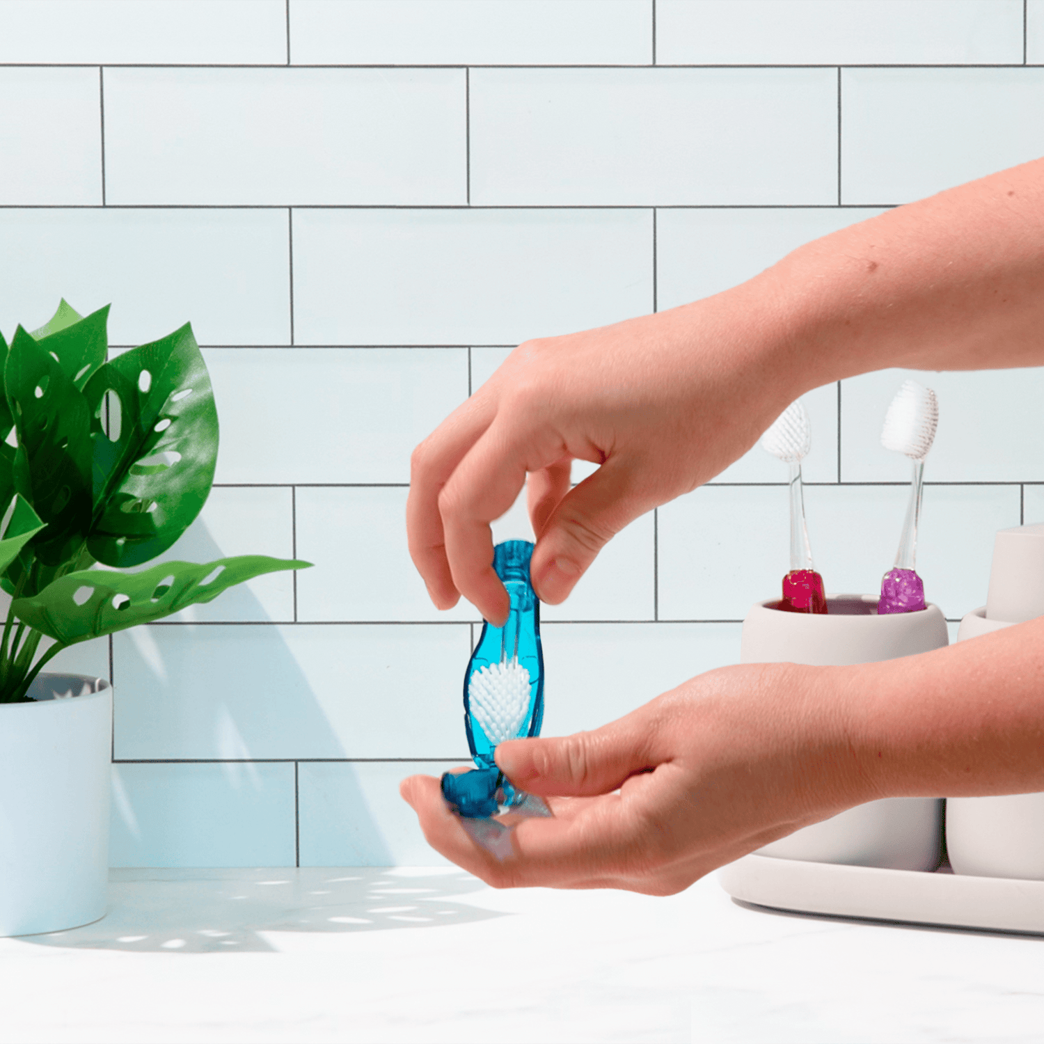 Tour™ Travel Brush