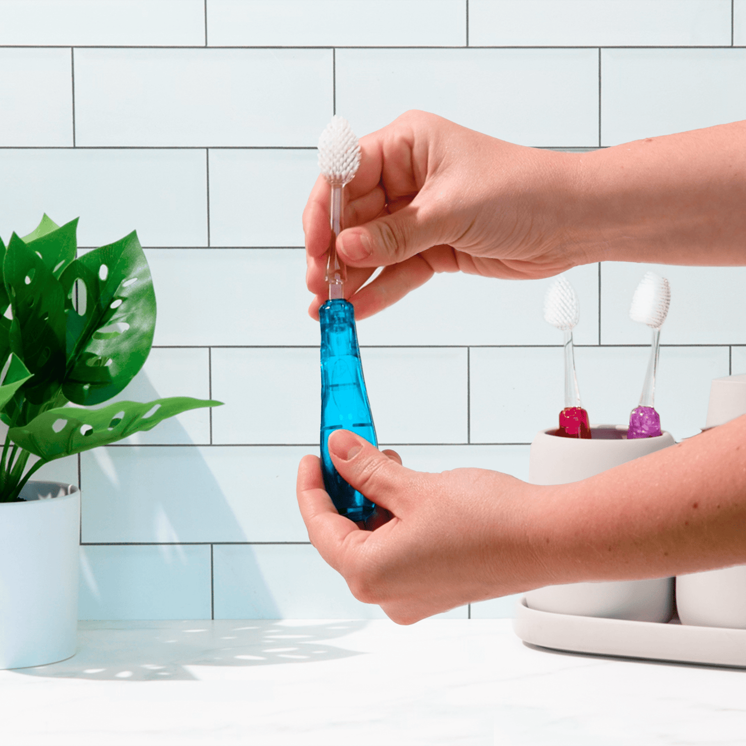 Tour™ Travel Brush