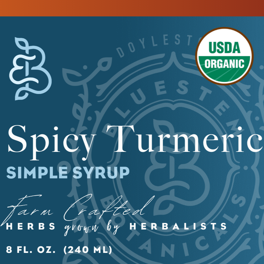 Simple Syrup, Spicy Turmeric, ORG - Bluestem Botanicals