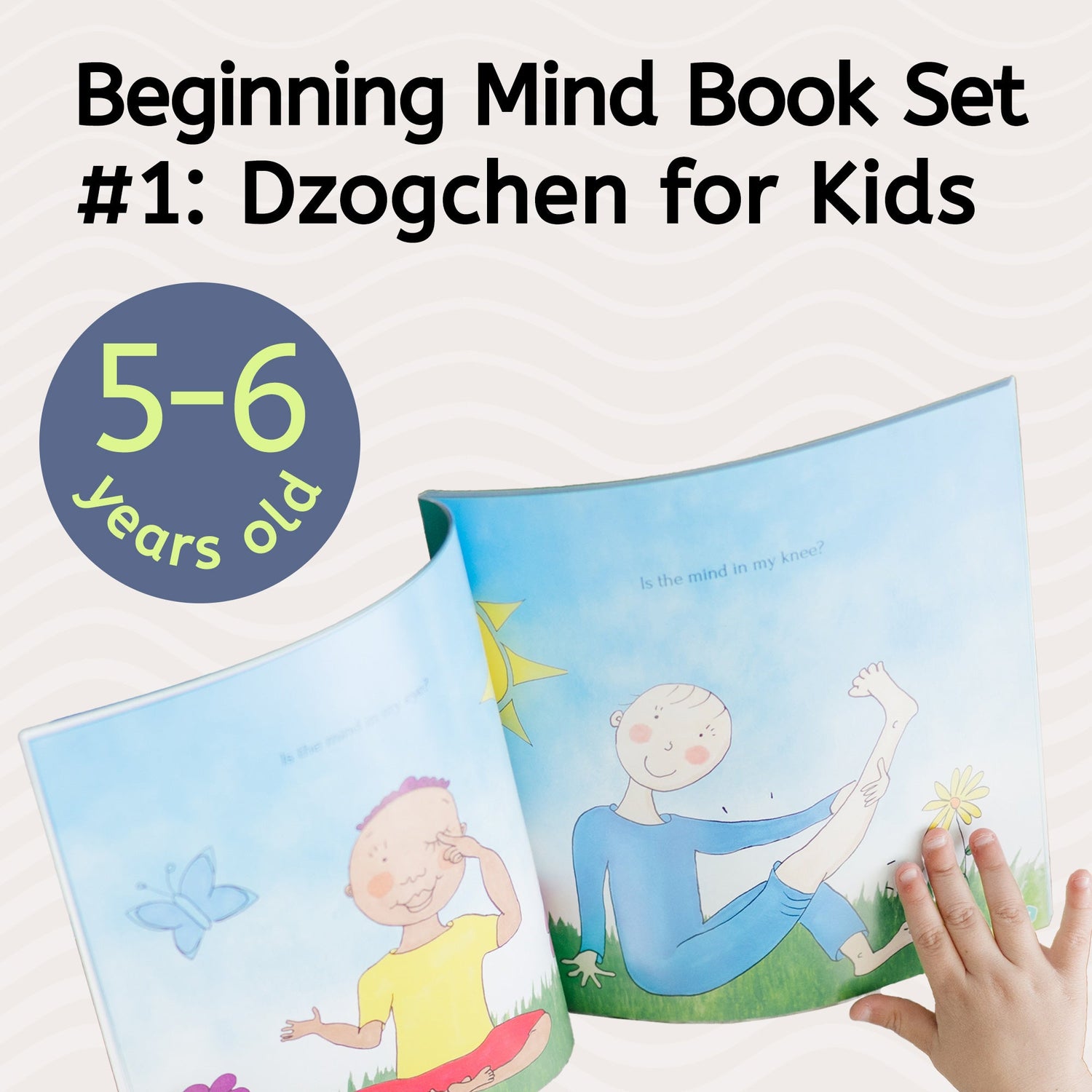 Beginning Mind Book Set 