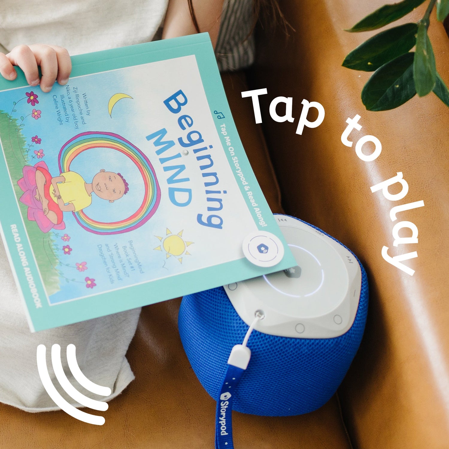 Beginning Mind Book Set 