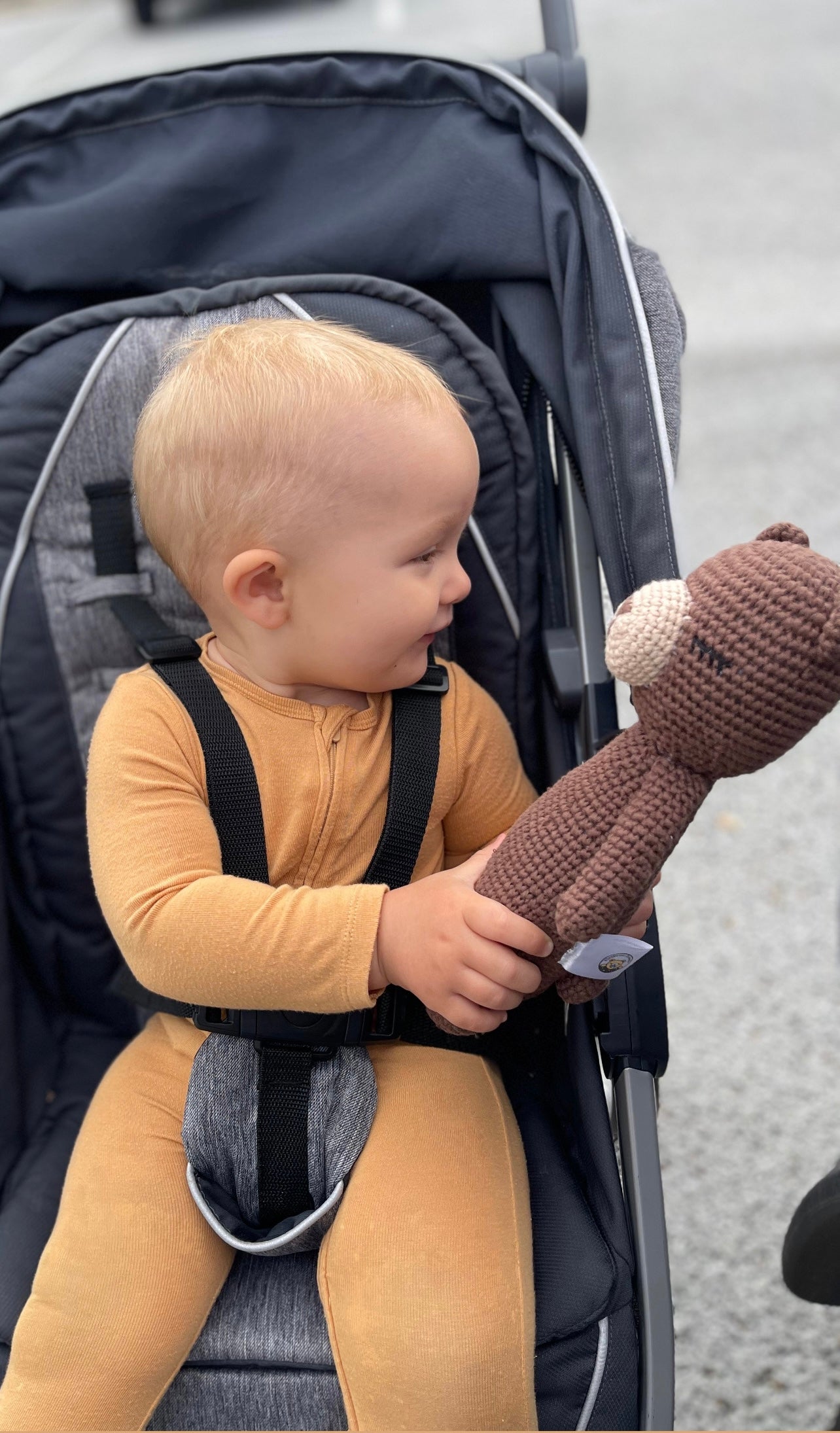 Bear in bedtime sleeping bag with bedtime and morning checklist