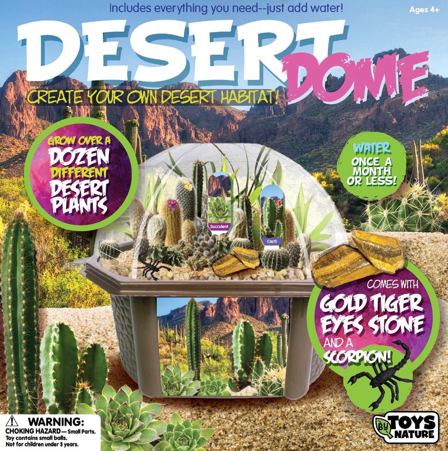 Desert Dome Biosphere Terrarium