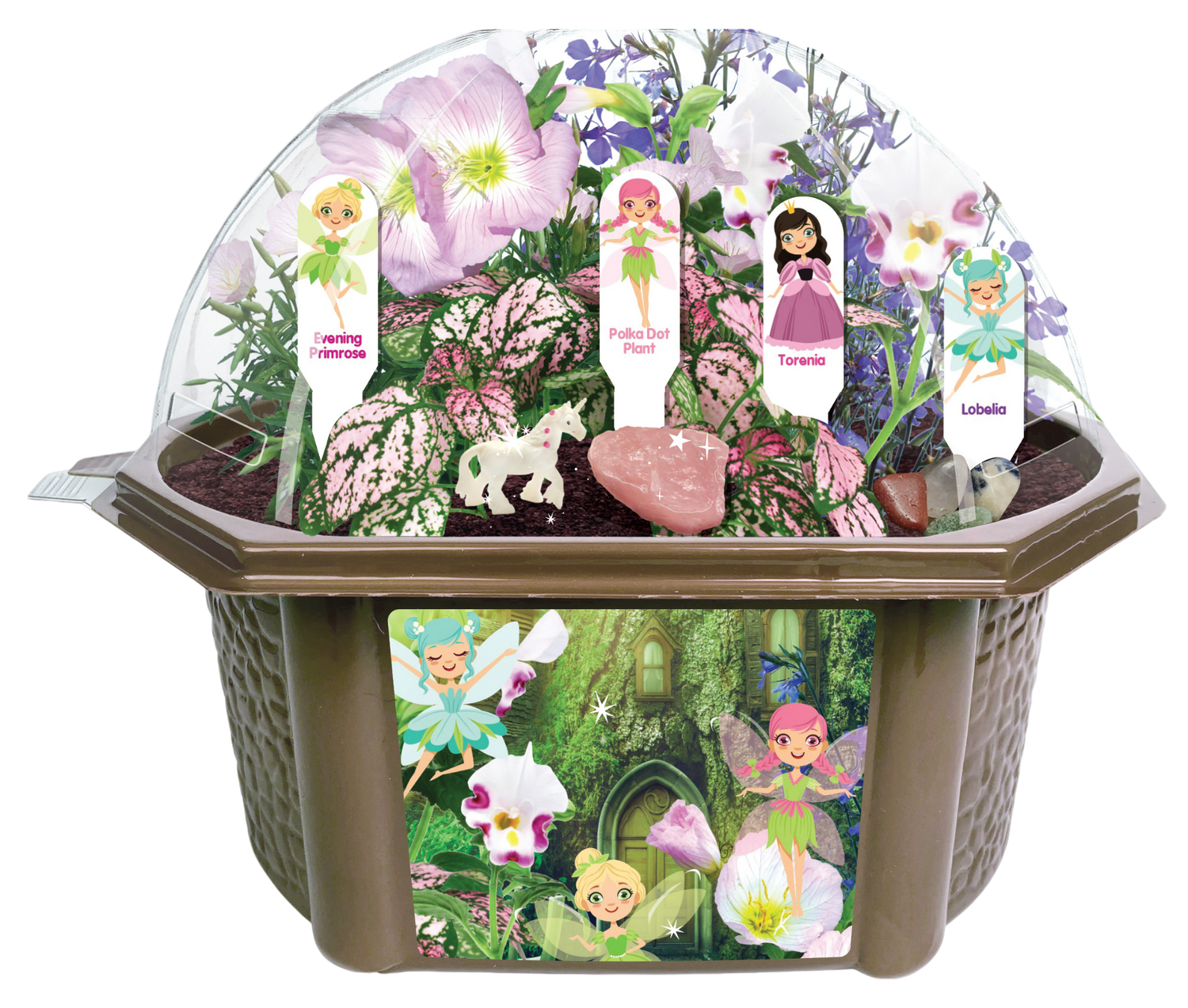 Fanciful Fairy Garden Biosphere Terrarium