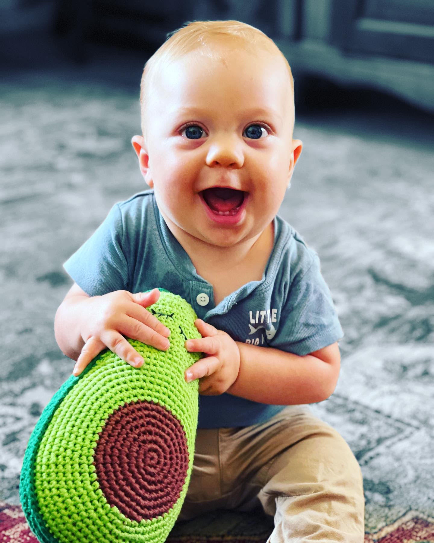 Avo the Avocado