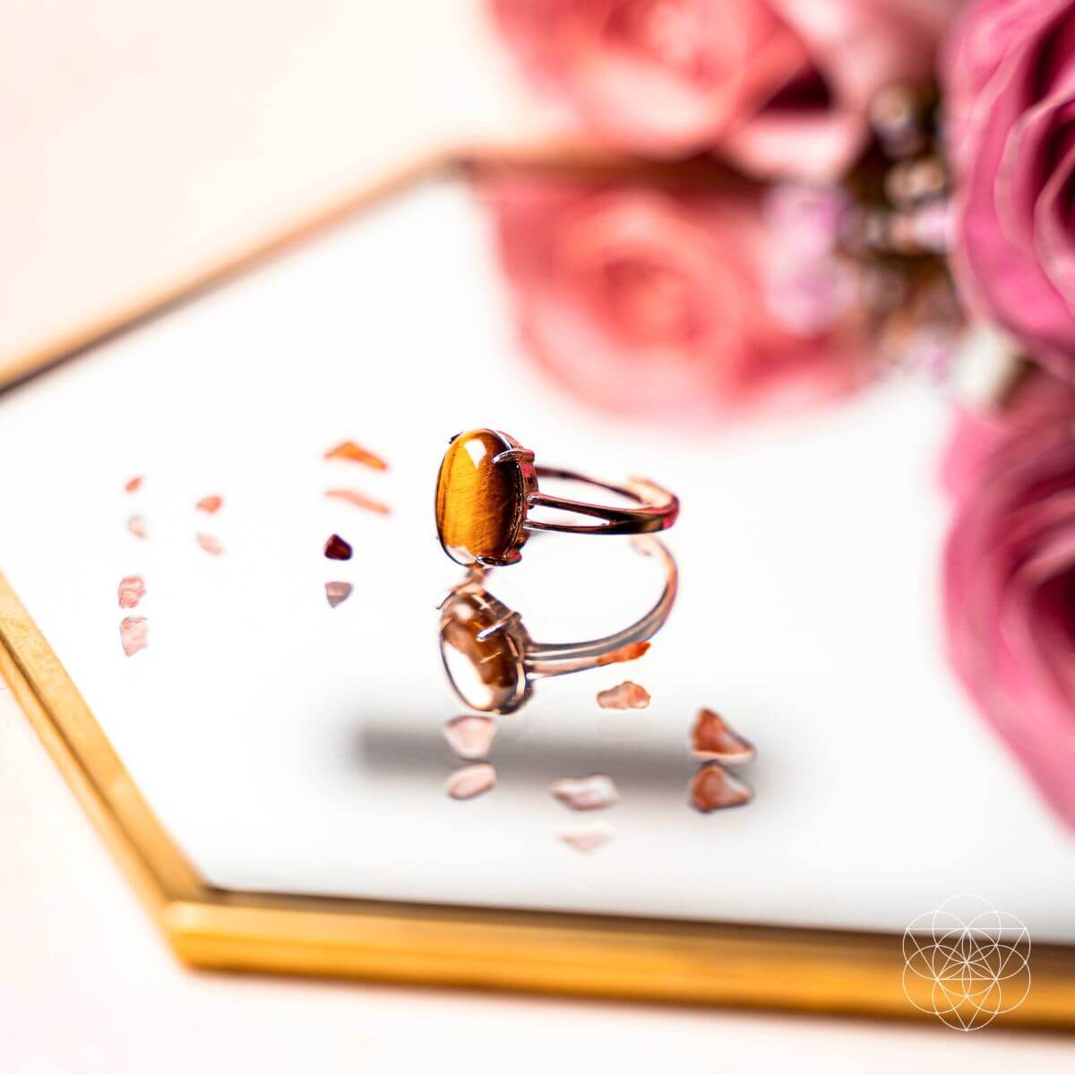 The Ring of Power & Grace