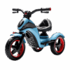Tricycle For Kids To Learn To Walk